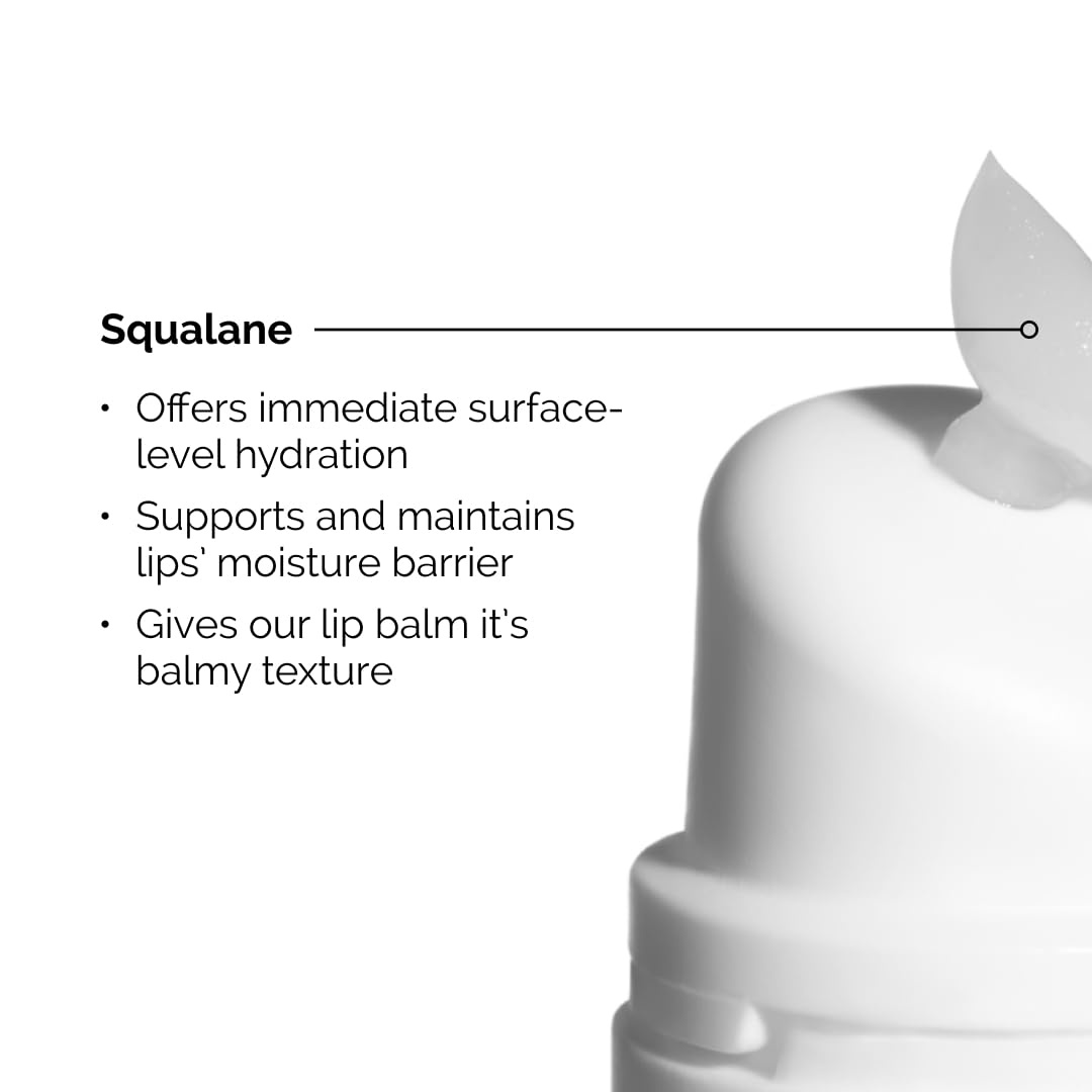 The Ordinary Lip Care Duo – Skin Care Bundle Set – PHA 5% Exfoliating Lip Serum 0.5 Fl Oz + Squalane and Amino Acids Lip Balm - view 4