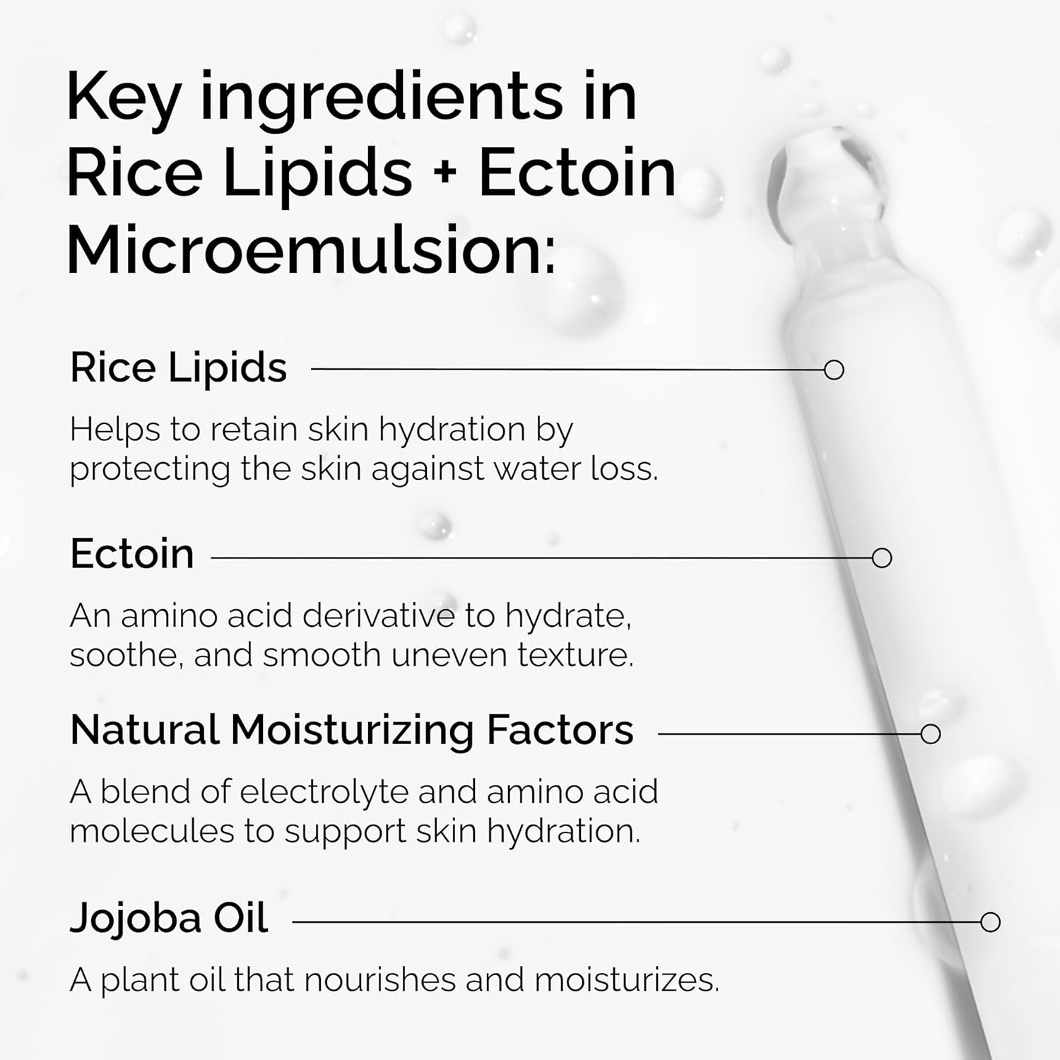The Ordinary Rice Lipids + Ectoin Microemulsion Moisturizer for Dry Skin, Soothing Hydration, Barrier Repair, Reduced Redness(2 Fl Oz (Pack of 1))