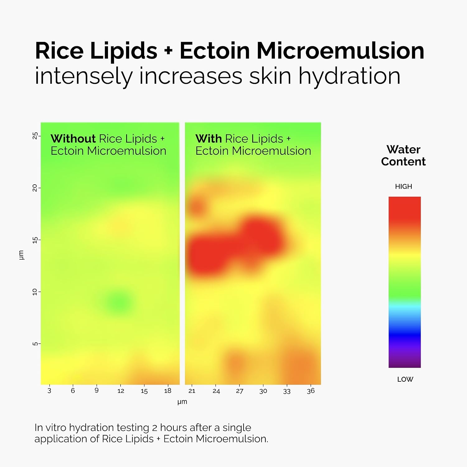 The Ordinary Rice Lipids + Ectoin Microemulsion Moisturizer for Dry Skin, Soothing Hydration, Barrier Repair, Reduced Redness(2 Fl Oz (Pack of 1)) - view 7